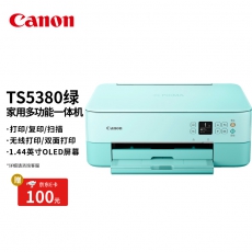 佳能（Canon）TS5380-粉绿 无线家用彩色喷墨多功能照片一体机（打印/复印/扫描/自动双面 学生作业/照片）